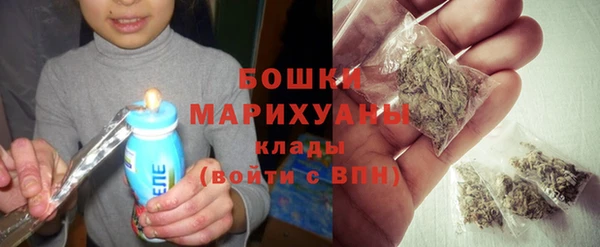 сатива Новодвинск