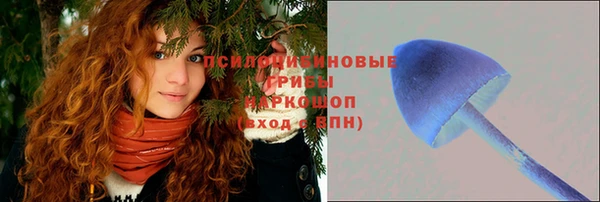соль курить ск Калач