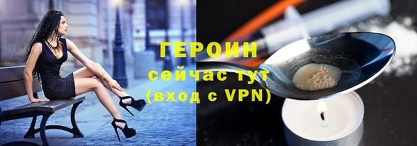 сатива Новодвинск