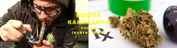 сатива Новодвинск