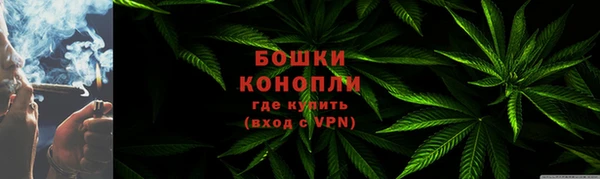 шишки Нязепетровск