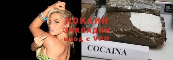 сатива Новодвинск