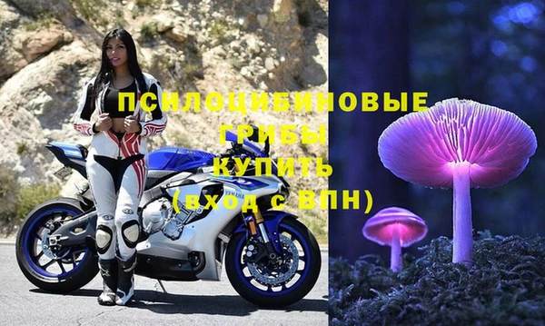 мдпв Нягань