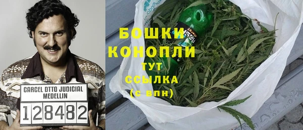 2c-b Новозыбков