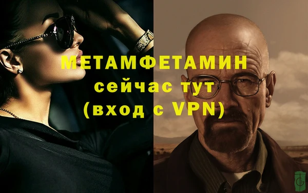 сатива Новодвинск