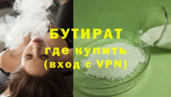 сатива Новодвинск