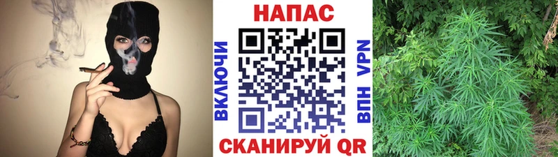 маркетплейс какой сайт  где найти   Иннополис  Шишки марихуана конопля 